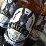 Mula de 5s ginger beer