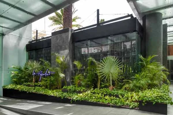 Plantean a restaurantes habilitar espacios verdes en nueva normalidad