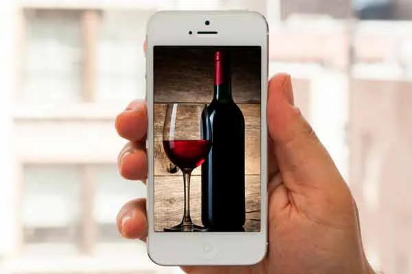 El mejor vino mexicano a sólo un click de distancia