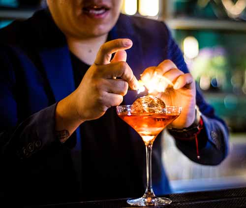 Domecq Academy cursos