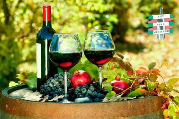 Vinos mexicanos para deleitarnos este 2021