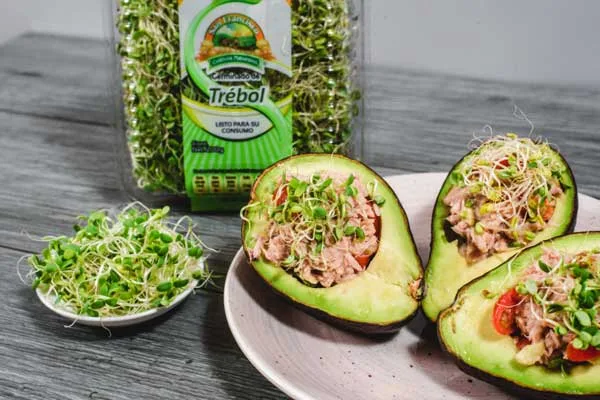 Cumple tus propósitos con mejores hábitos alimenticios
