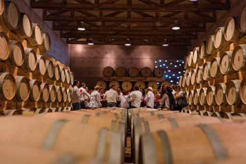 La Ruta del Vino de San Miguel de Allende y alrededores 6 Viñedo Cuna de Tierra