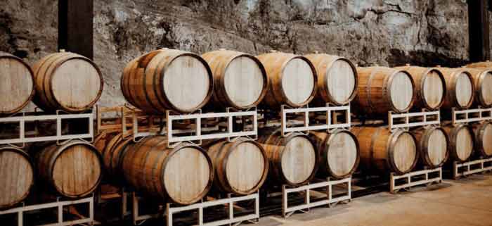 La Ruta del Vino de San Miguel de Allende y alrededores 4 Viñedo San Miguel