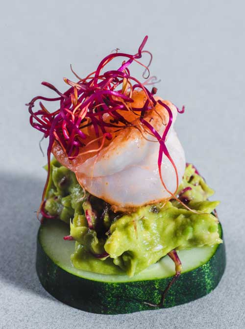 germinados de betabel