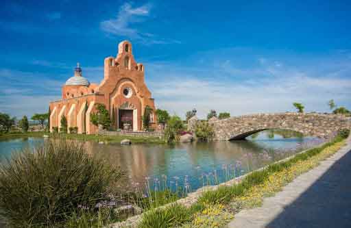 La Ruta del Vino de San Miguel de Allende y alrededores 7 Vinedo San José