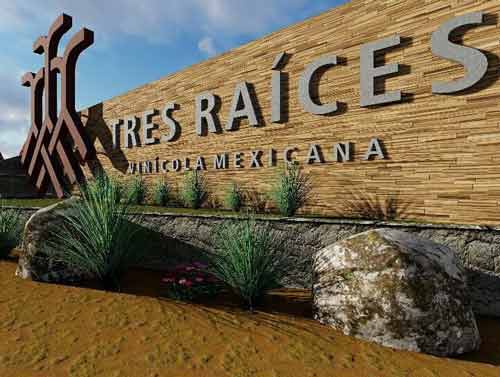 Ruta del Vino Viñedo Tres Raíces