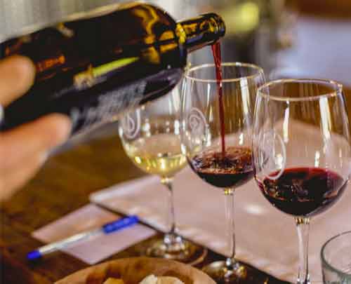 Ruta del vino Viñedos San Francisco