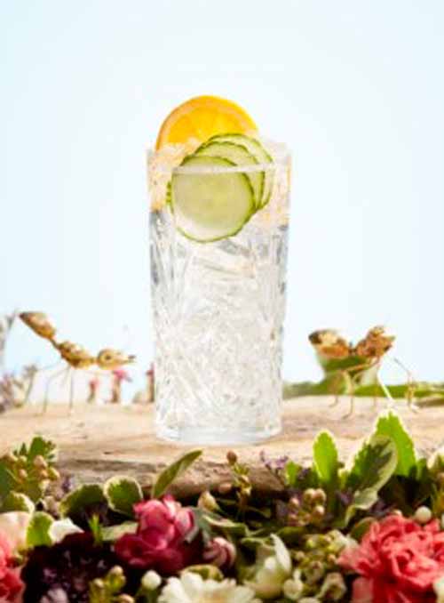 Hendrick's Sherry Tonic