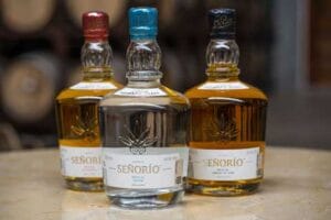 variedades mezcal Señorío