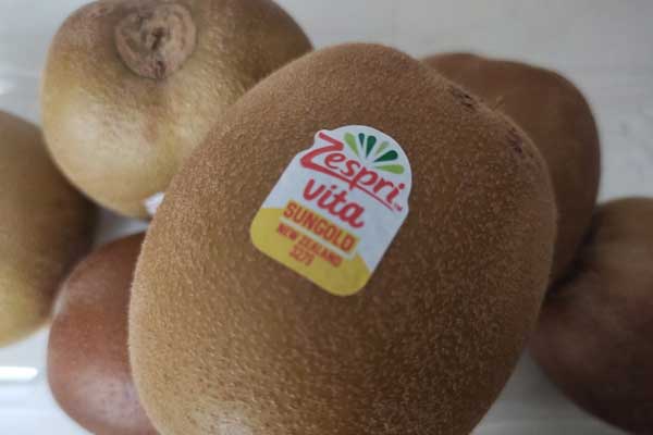 El kiwi, un fruto delicioso de Nueva Zelanda para México 1 El kiwi, un fruto delicioso de Nueva Zelanda para México