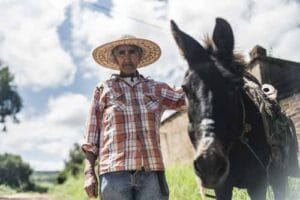 productores de leche Danone