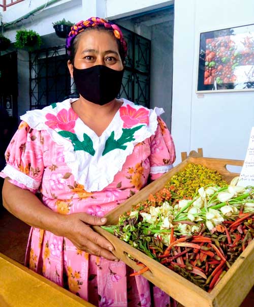 Cocinera Oaxaqueña Alba Barrios