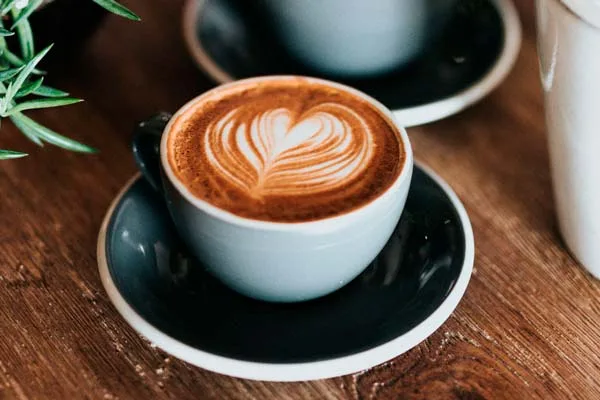 Conoce la Ruta Mexicana del Café por 4 estados