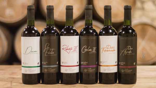 Luévano Ruiz Zacatecas