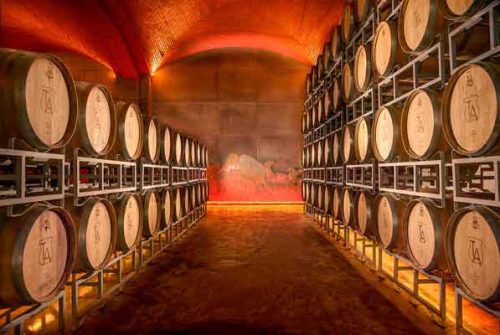 Descubre el lado vinícola de Zacatecas