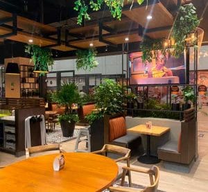 Interior Toks Gran Terraza Coapa