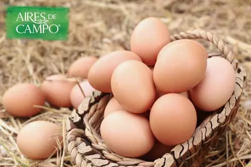 ¿Cuáles son los beneficios de los huevos orgánicos?
