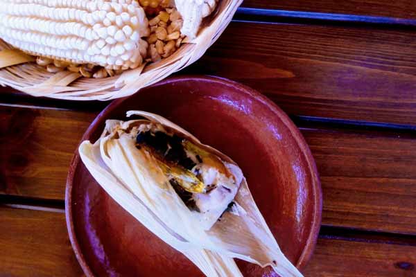 Cocineras de Oaxaca comparten secretos para preparar tamales 1 Cocineras de Oaxaca comparten secretos para preparar tamales