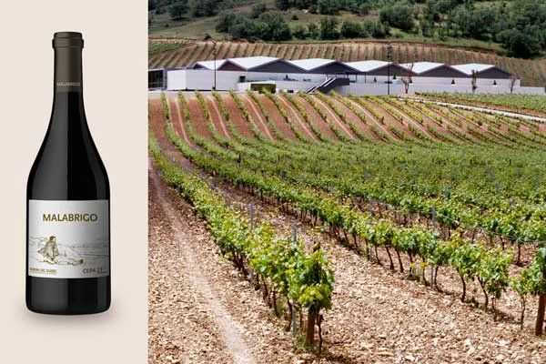 Malabrigo de Bodegas Cepa 21 un vino multipremiado