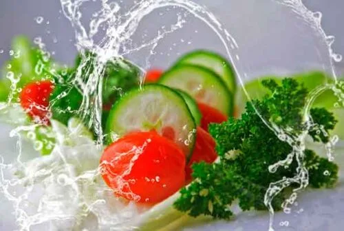 Reflexiones sobre la carne y el Día Mundial del Agua