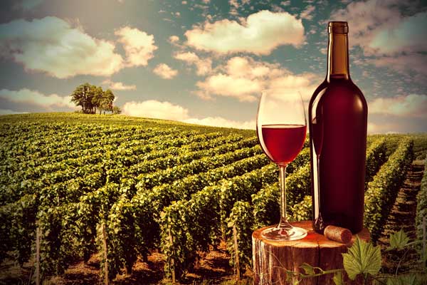 El vino mexicano se hace presente en Europa con gran éxito 1 El vino mexicano se hace presente en Europa con gran éxito