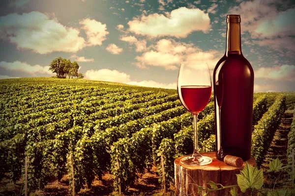 El vino mexicano se hace presente en Europa con gran éxito
