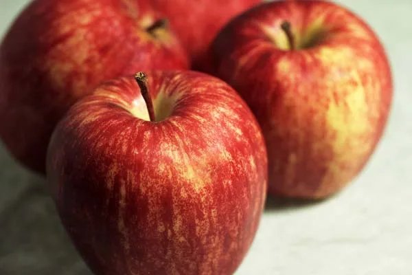 Trivia: Conoce las características y el sabor de las manzanas Cosmic Crisp y Gala