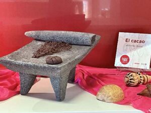 El cacao: Un viaje por la historia de este alimento divino 2 historia del cacao