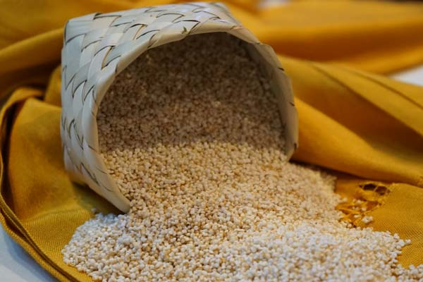 Amaranto: ¿Cuáles son sus propiedades nutricionales y beneficios? 1 Amaranto: ¿Cuáles son sus propiedades nutricionales y beneficios?
