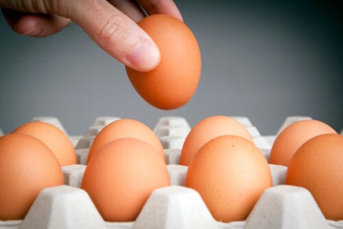 Mitos sobre el consumo de huevo y su producción en México