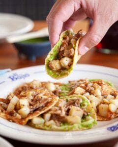 garnachas orizabeñas