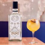 Licores Veracruz mezcales