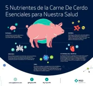 beneficios de la carne de cerdo