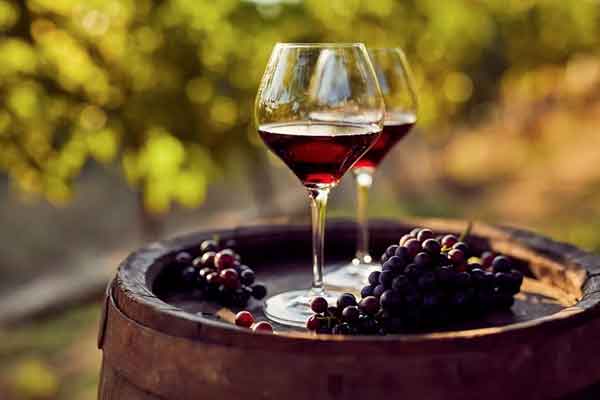 Día Mundial del Malbec: 5 razones por las que podemos amar esta cepa 1 Día Mundial del Malbec: 5 razones por las que podemos amar esta cepa