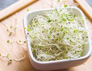 Germinados para la buena digestión