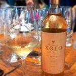 Vinos Xolo Valle de Guadalupe