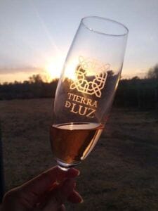 vino espumoso Tierra de Luz