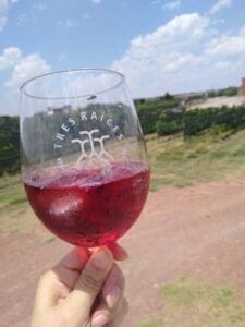 tinto de verano Tres Raíces