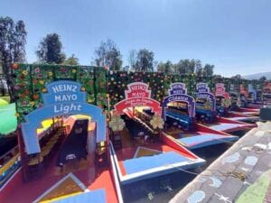 Trajineras de Mayonesa Heinz