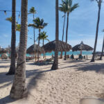 Iberostar ofrece un oasis eco-gourmet en Punta Cana 10 Playa Bavaro de Punta Cana en Iberostar