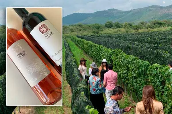 Tierra de Luz, un viñedo para los amantes del enoturismo