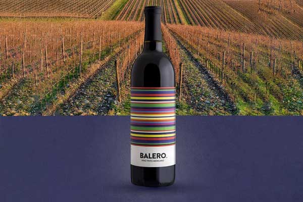 Balero inicia exportación a Centroamérica y proyecta expansión internacional 1 Balero inicia exportación a Centroamérica y proyecta expansión internacional
