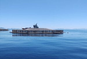 La Totoaba Santomar redefine la industria pesquera en México 3 Granjas piscícola de Santomar