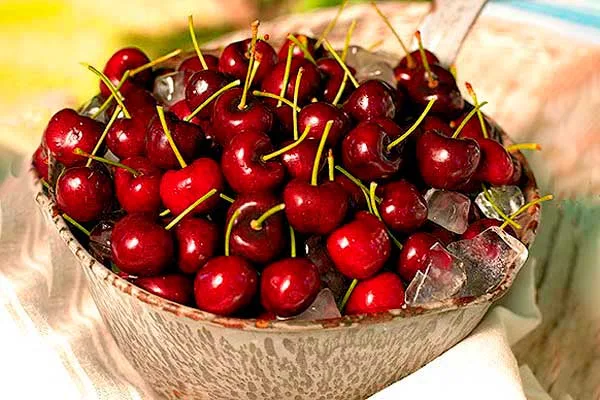 Saborea las Cerezas del Verano que llegaron para deleitar a tu paladar