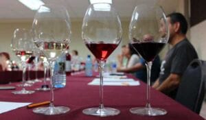 Vinos de Baja California ganan medallas