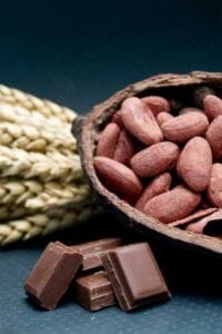 El cacao en Valle de Bravo