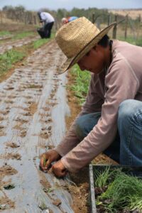Campo Vivo es una empresa B