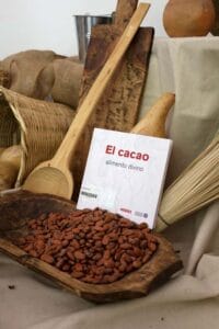 cacao mexicano