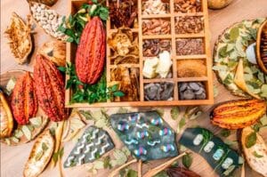 cacao sostenible hoteles Accor